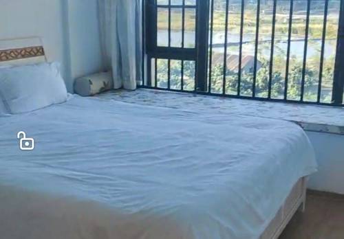 海棠 碧桂园齐瓦颂