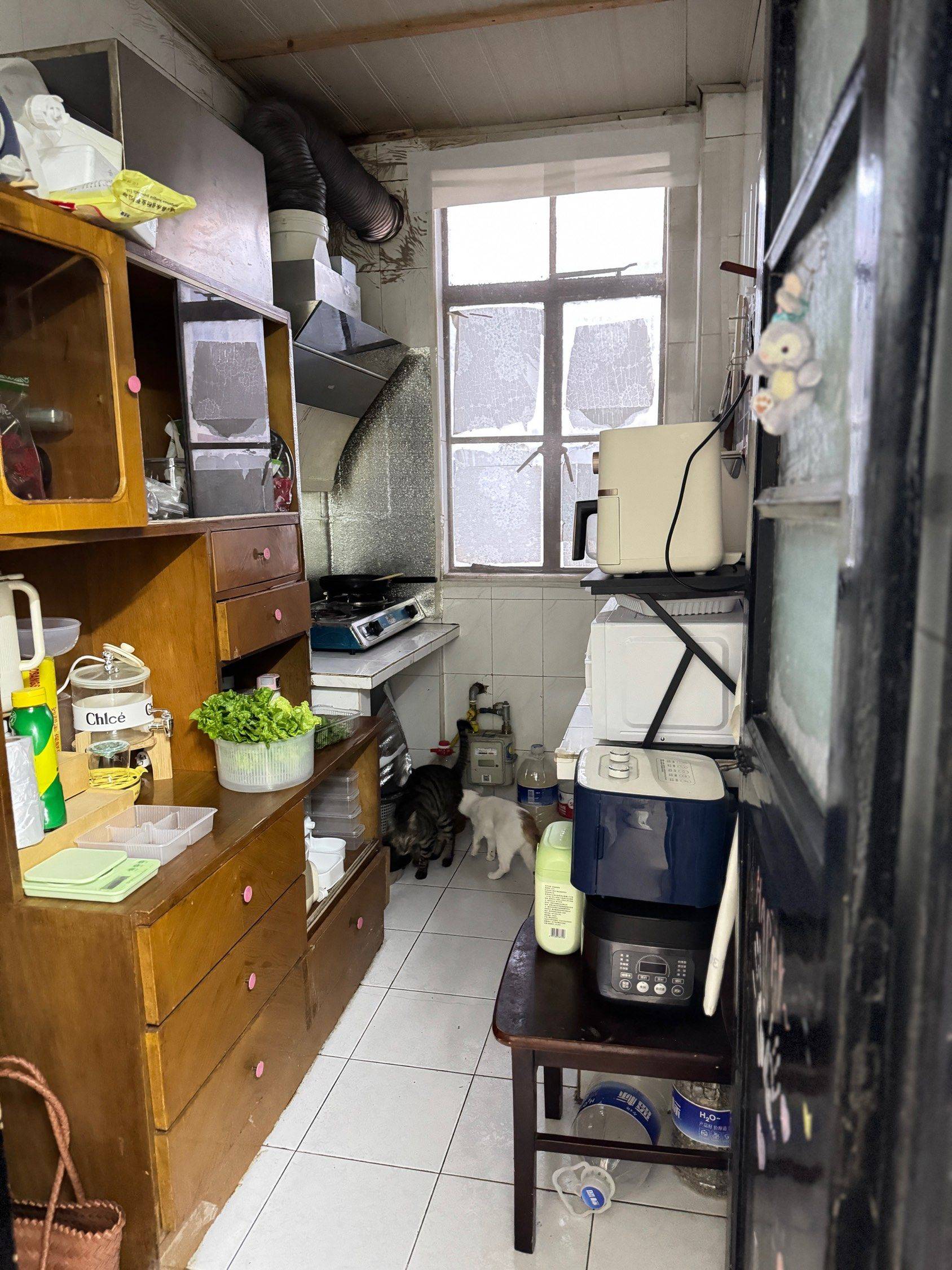 苏州 姑苏 | 解放新村-162幢_5