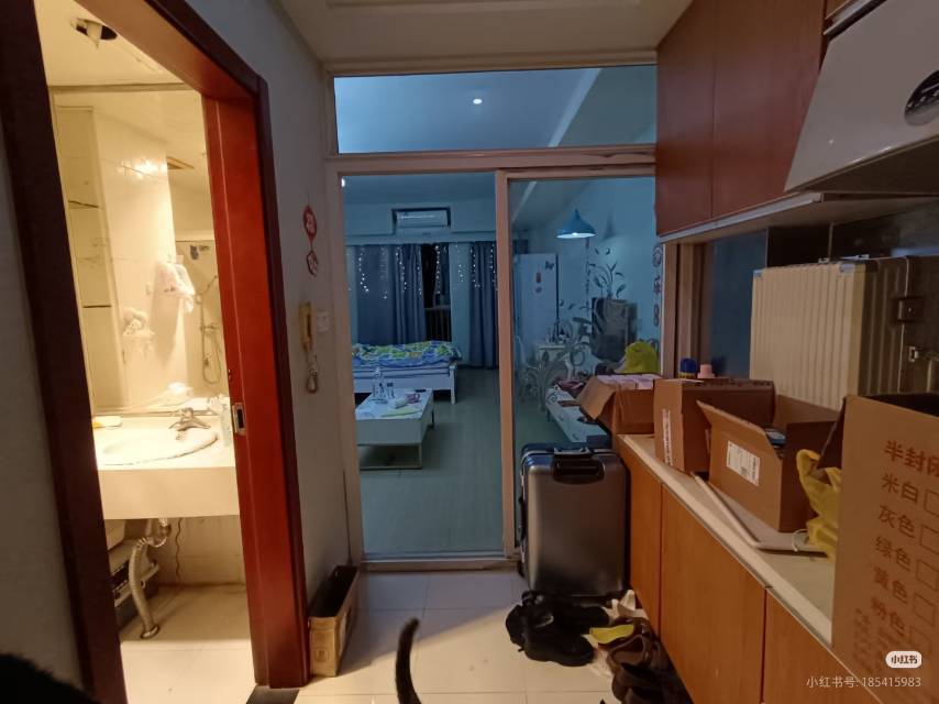 养猪咪的人整租房源2