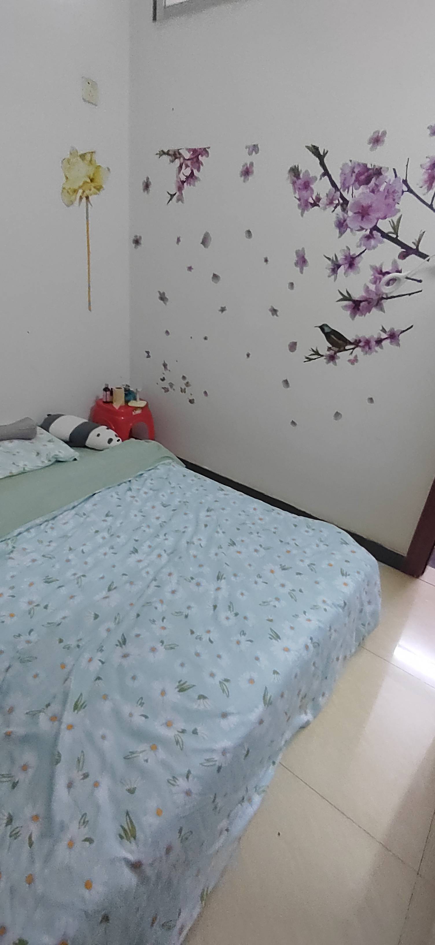 深圳 龙华 | 香榧树下_4