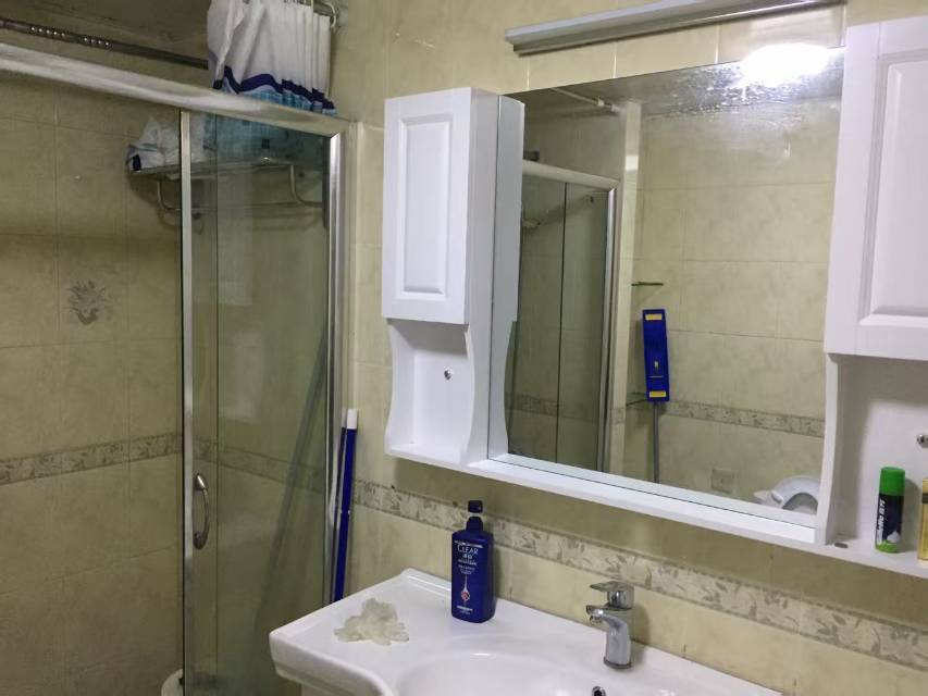 上海 普陀 | 岚皋馨苑_5