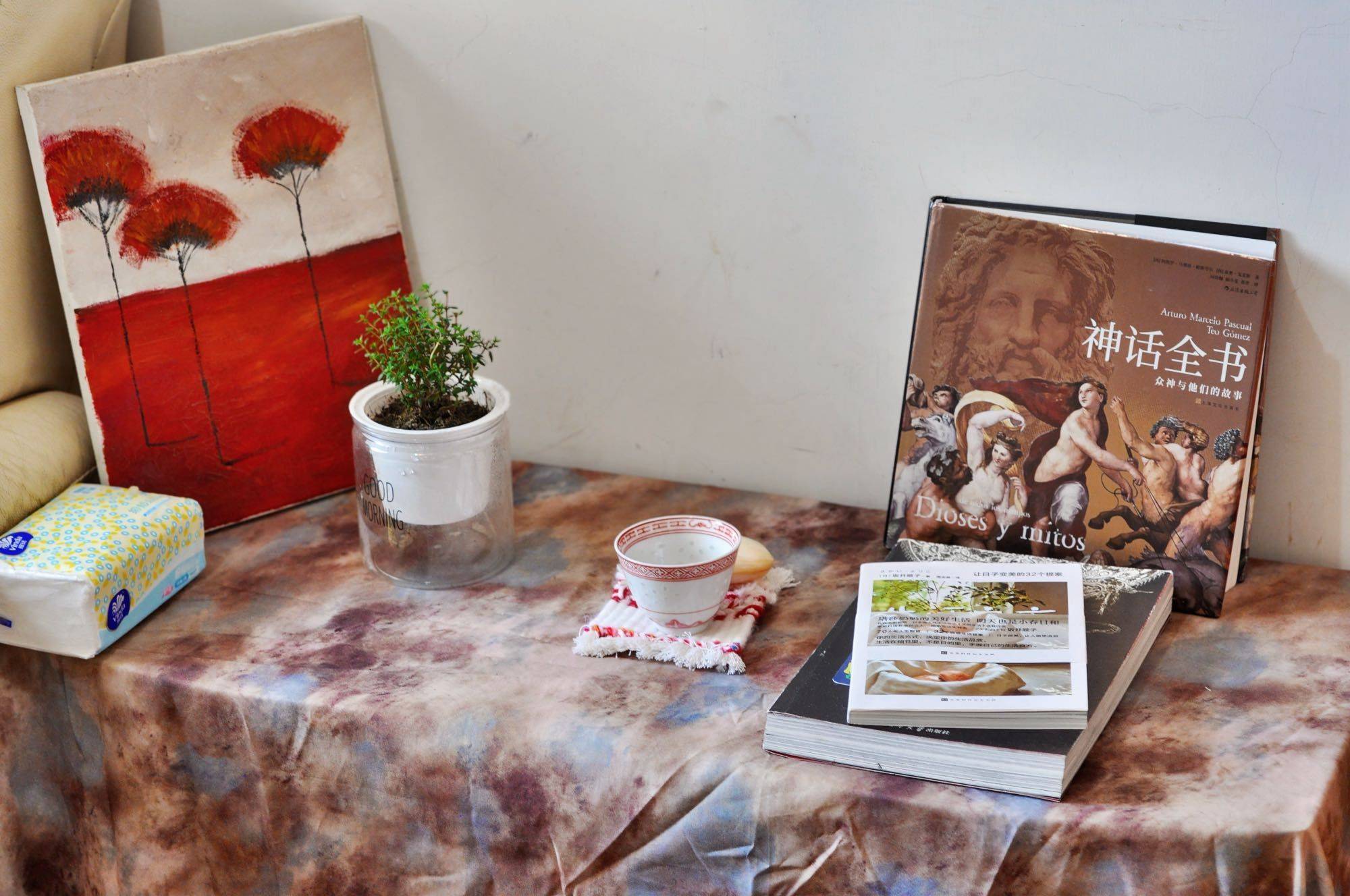 成都 武侯 | 南方半岛花园_6