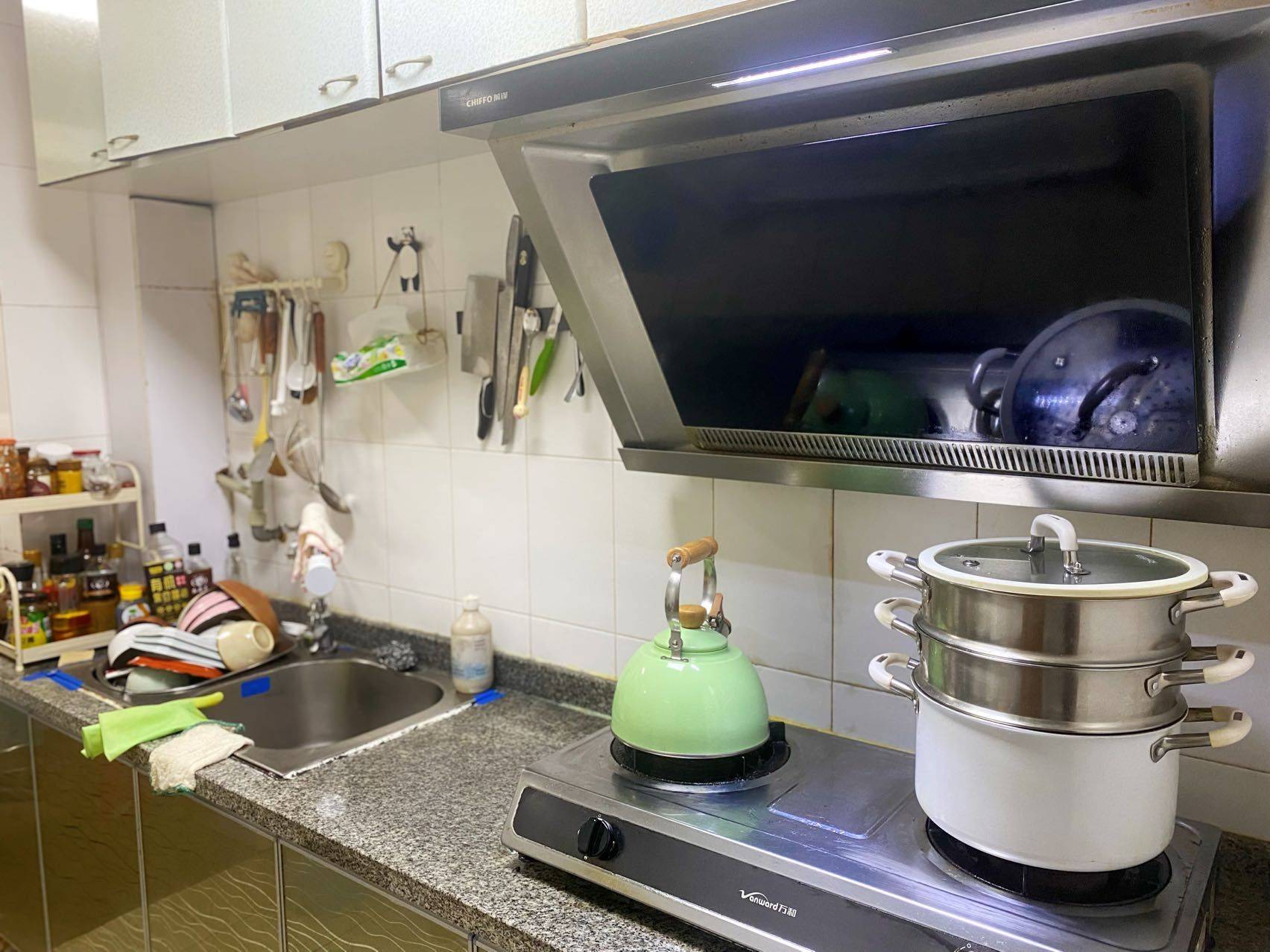 成都 武侯 | 南方半岛花园_3