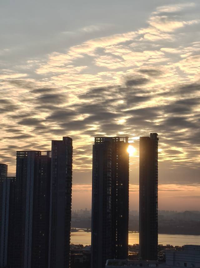 🌠整租房源2
