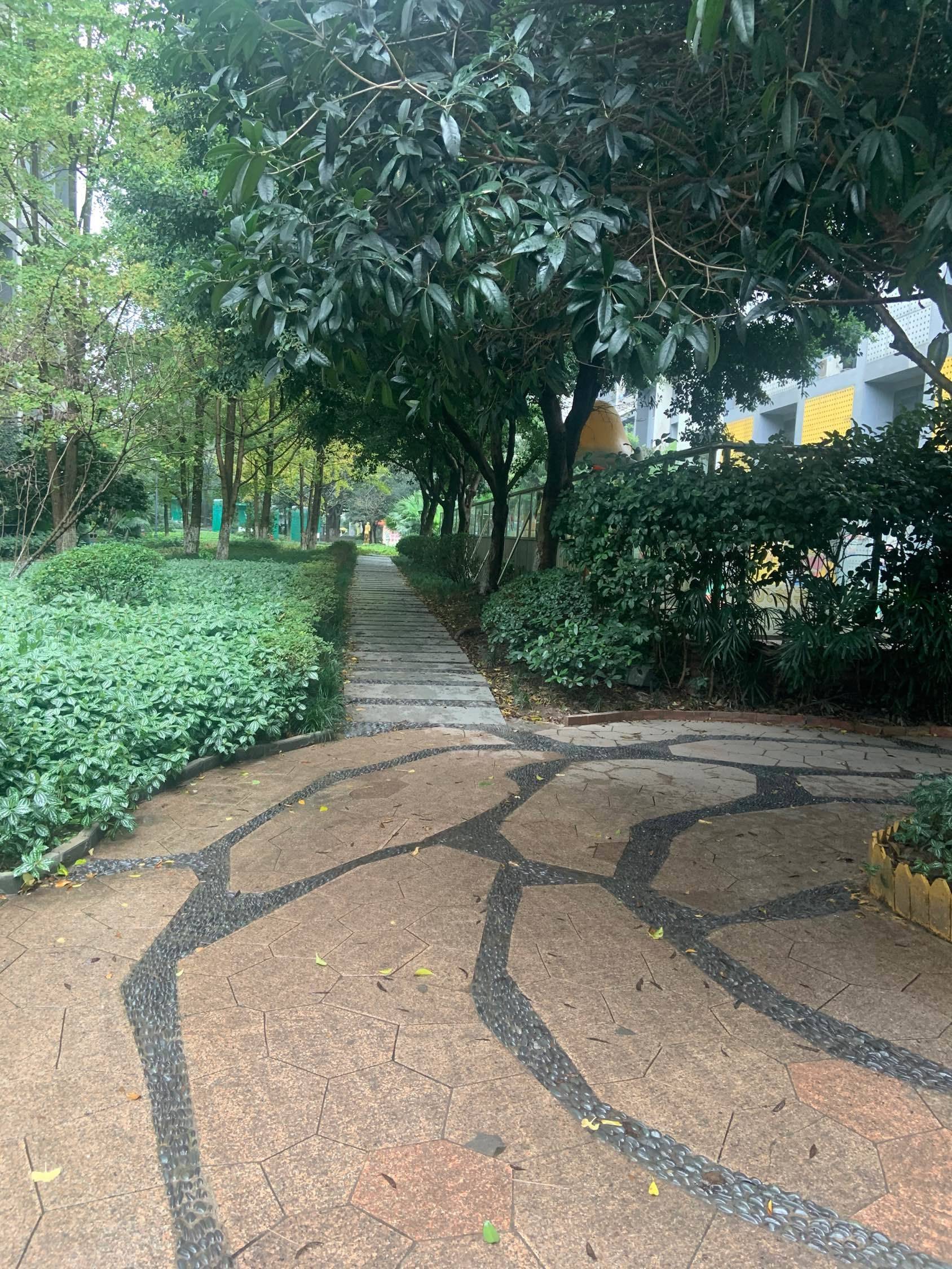 重慶 沙坪壩 | 大城小爱_4