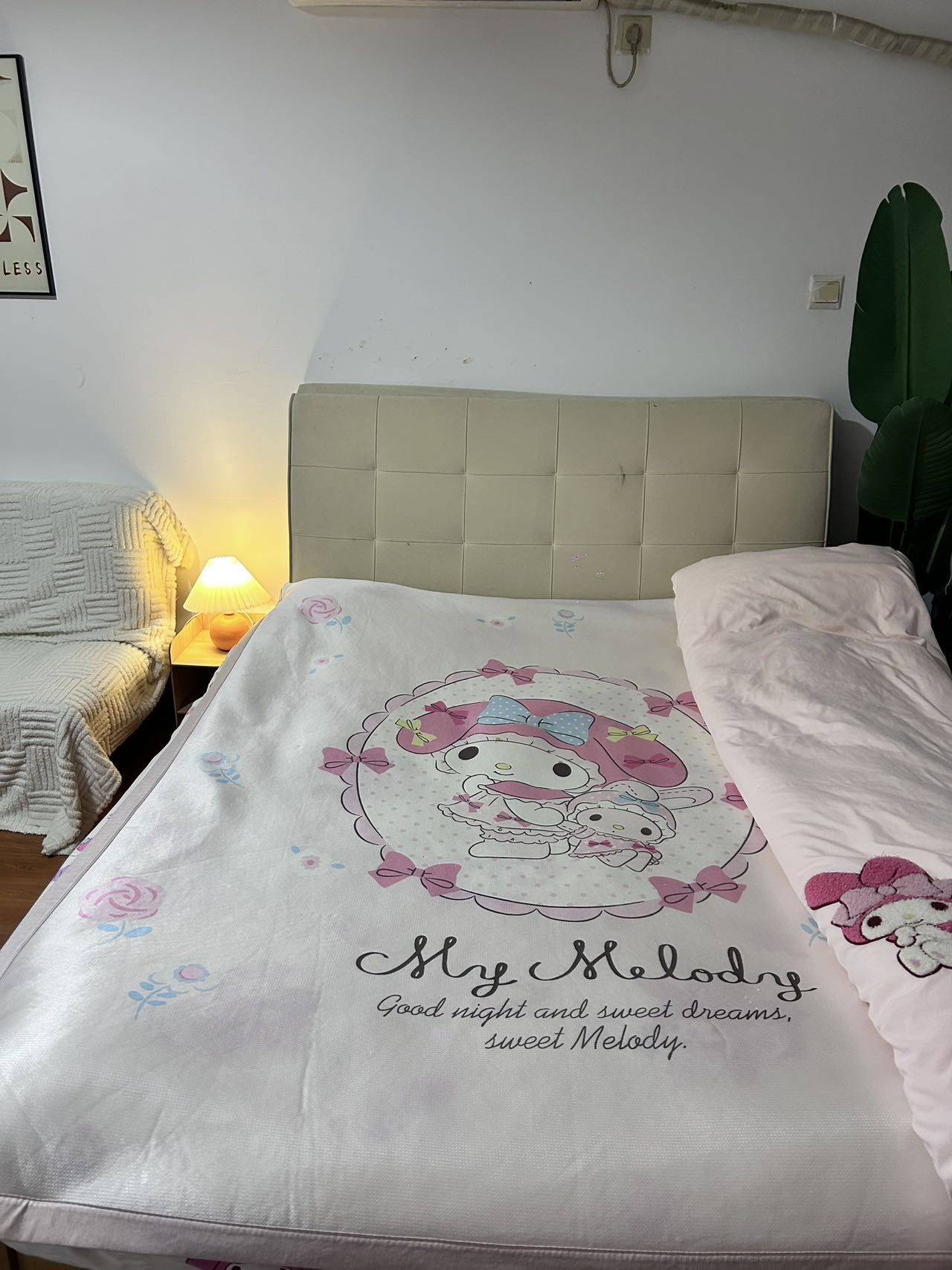 姬如雪整租房源3