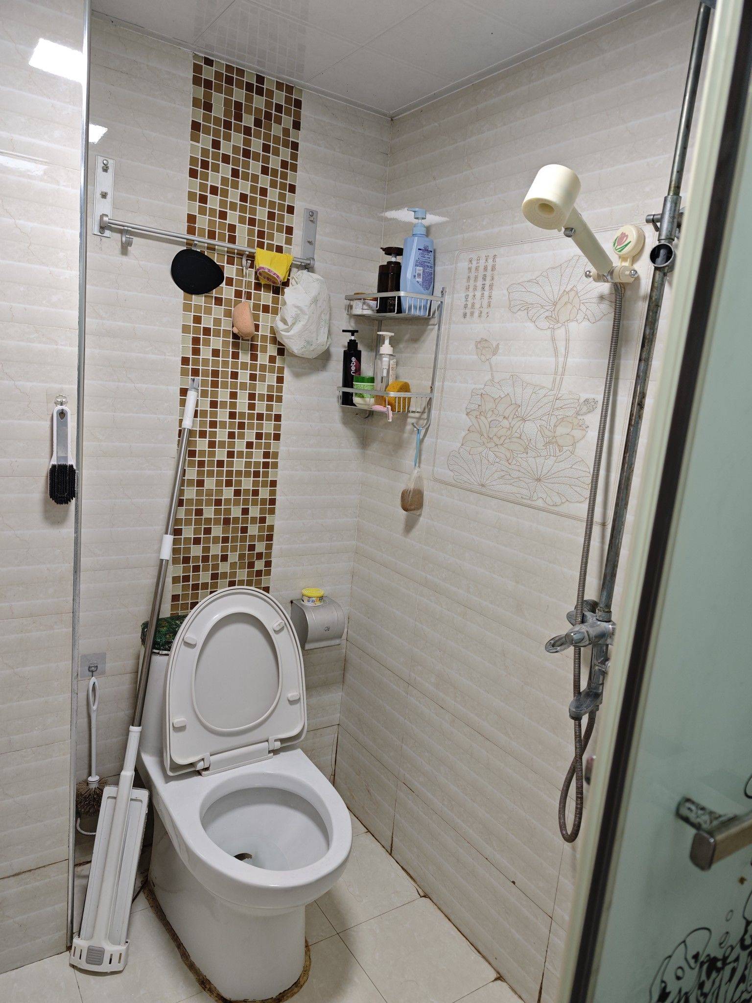 武漢 東西湖 | 碧桂园海昌天澜1期_3