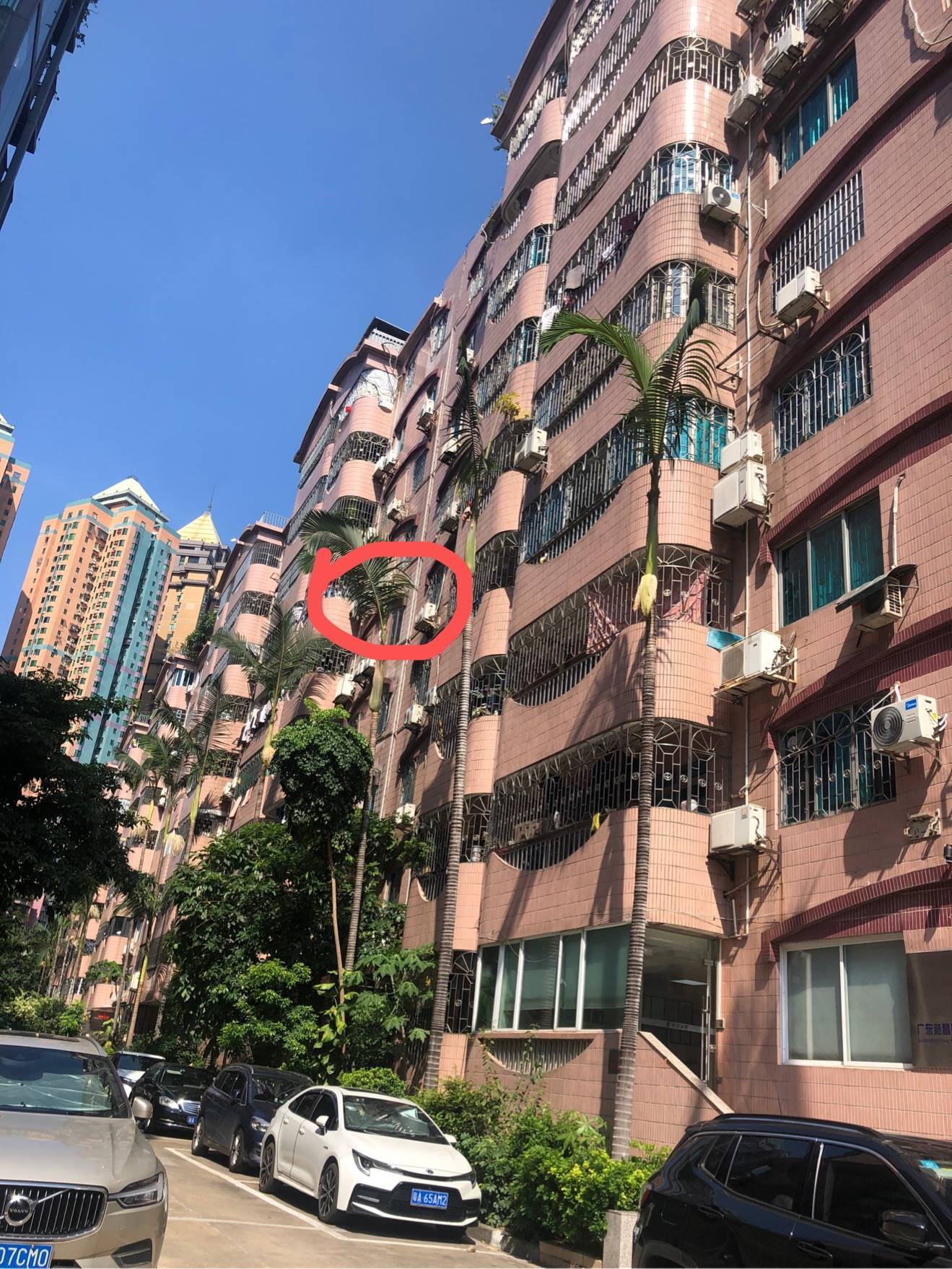 广州 海珠 | 金雅苑-一二期_6