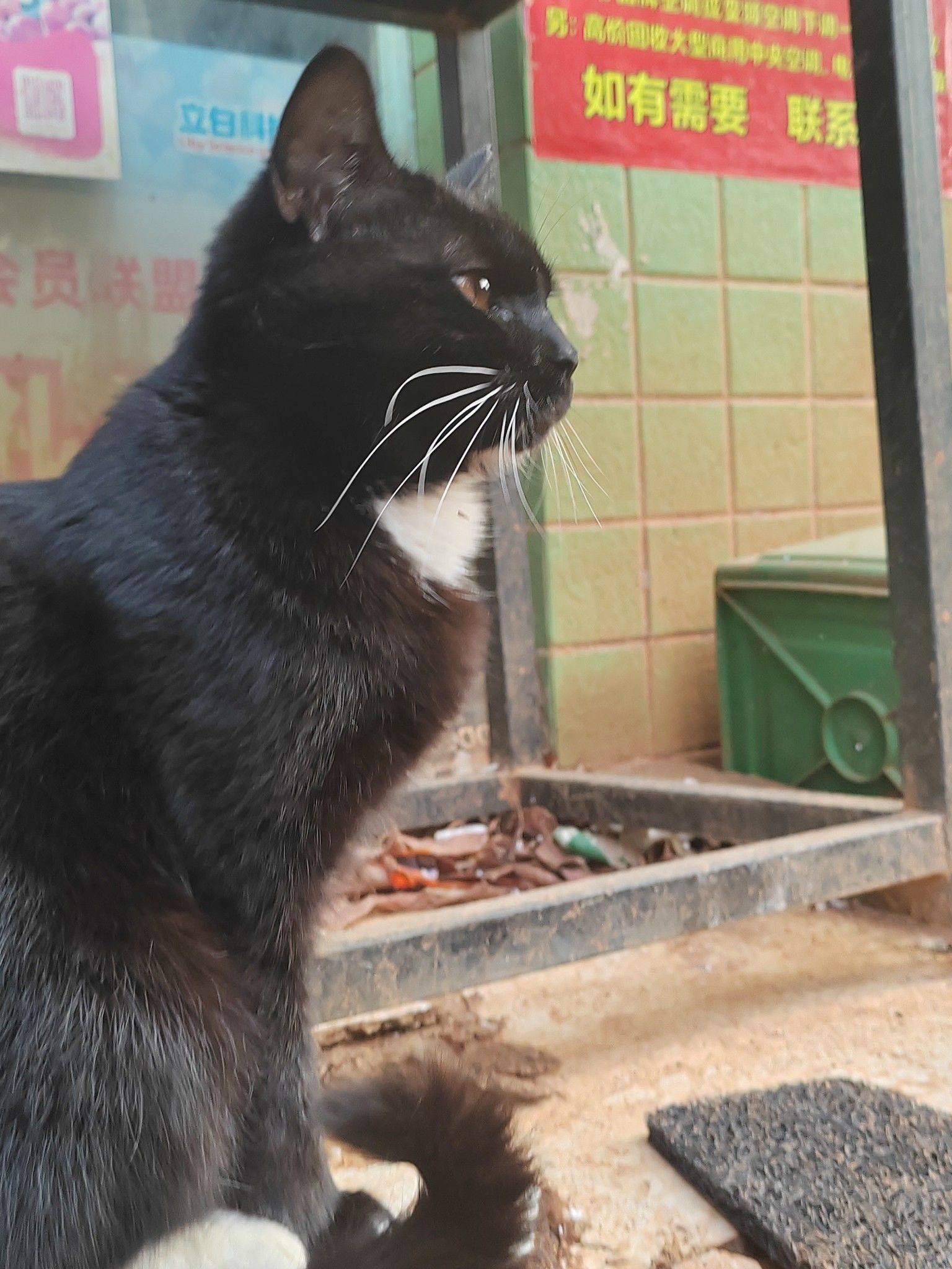 長沙 天心 | 城市风情_3