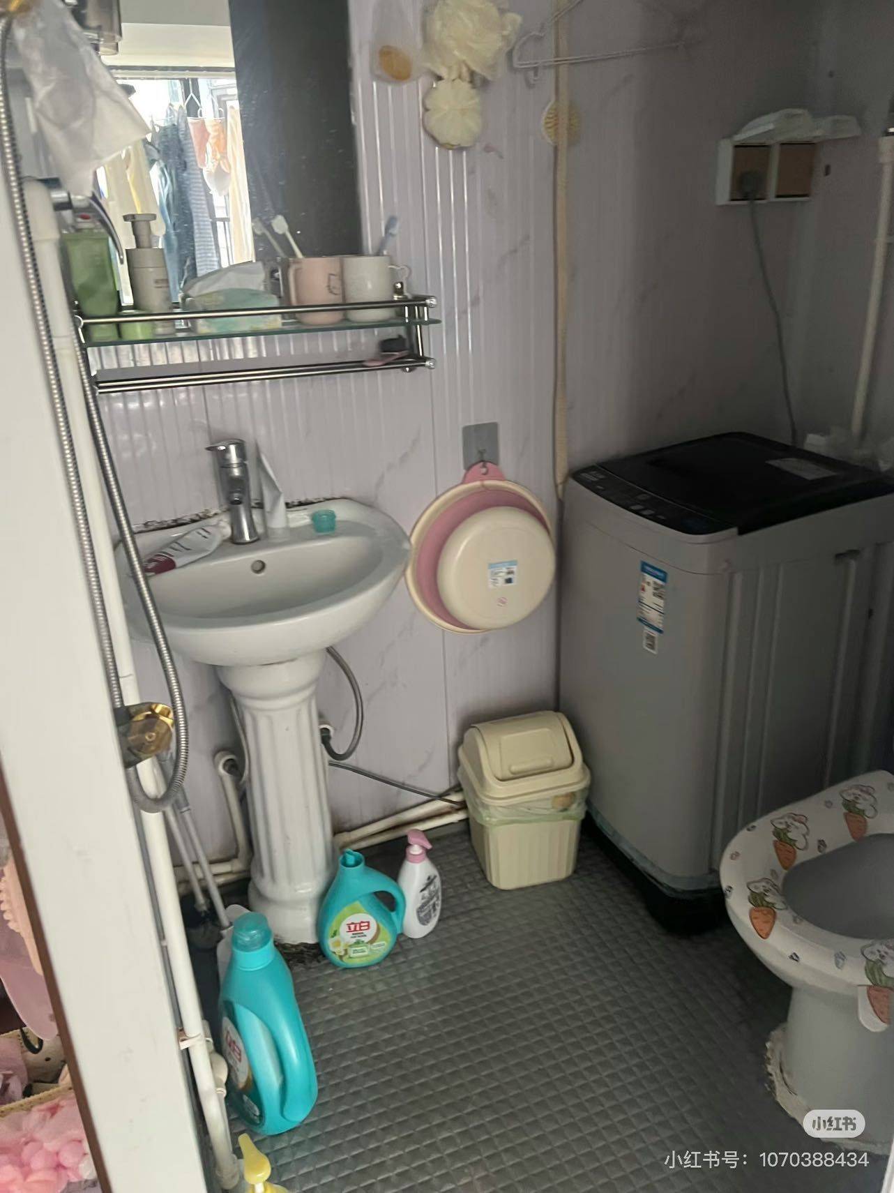 Xingning 奥园园著