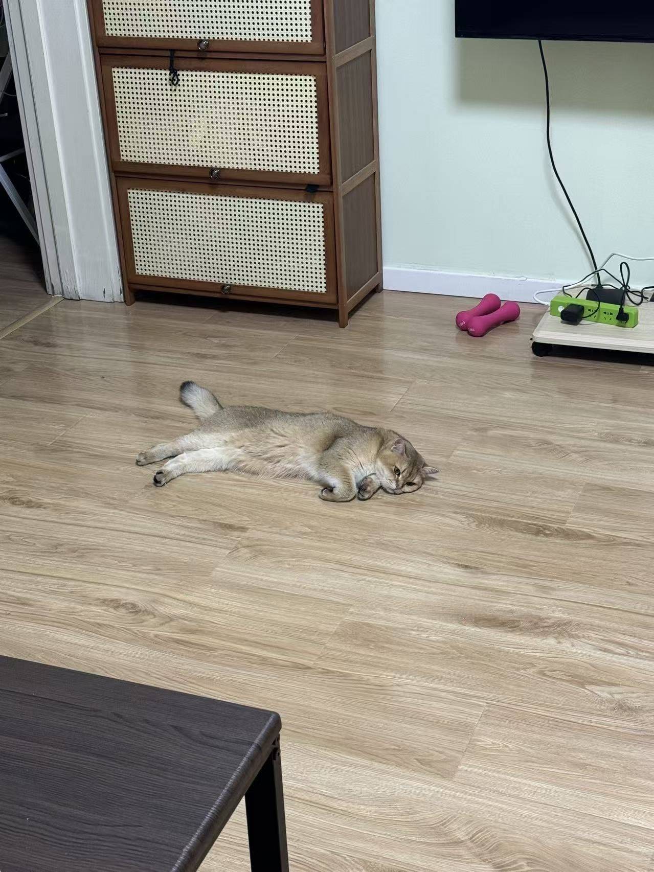 无风扇子整租房源2