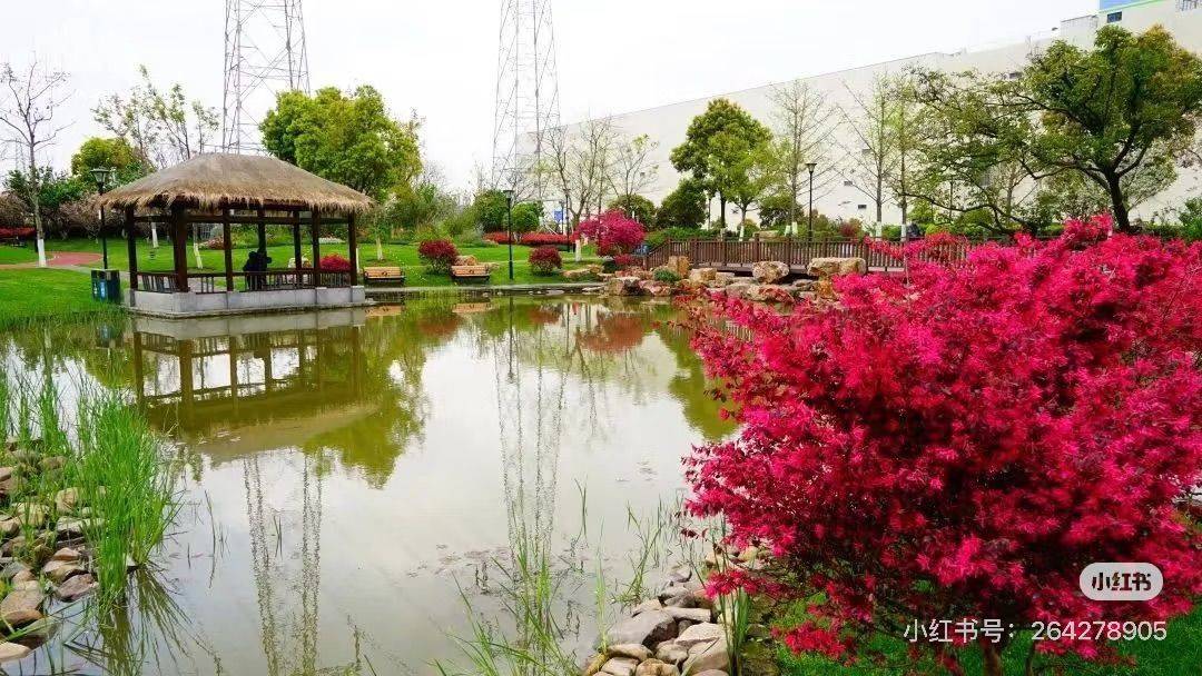 上海 靜安 | 临汾路1564弄社区_7