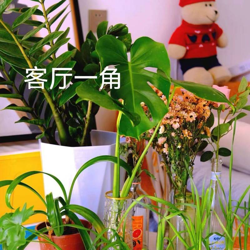 上海 嘉定 | 路劲悦茂府_7