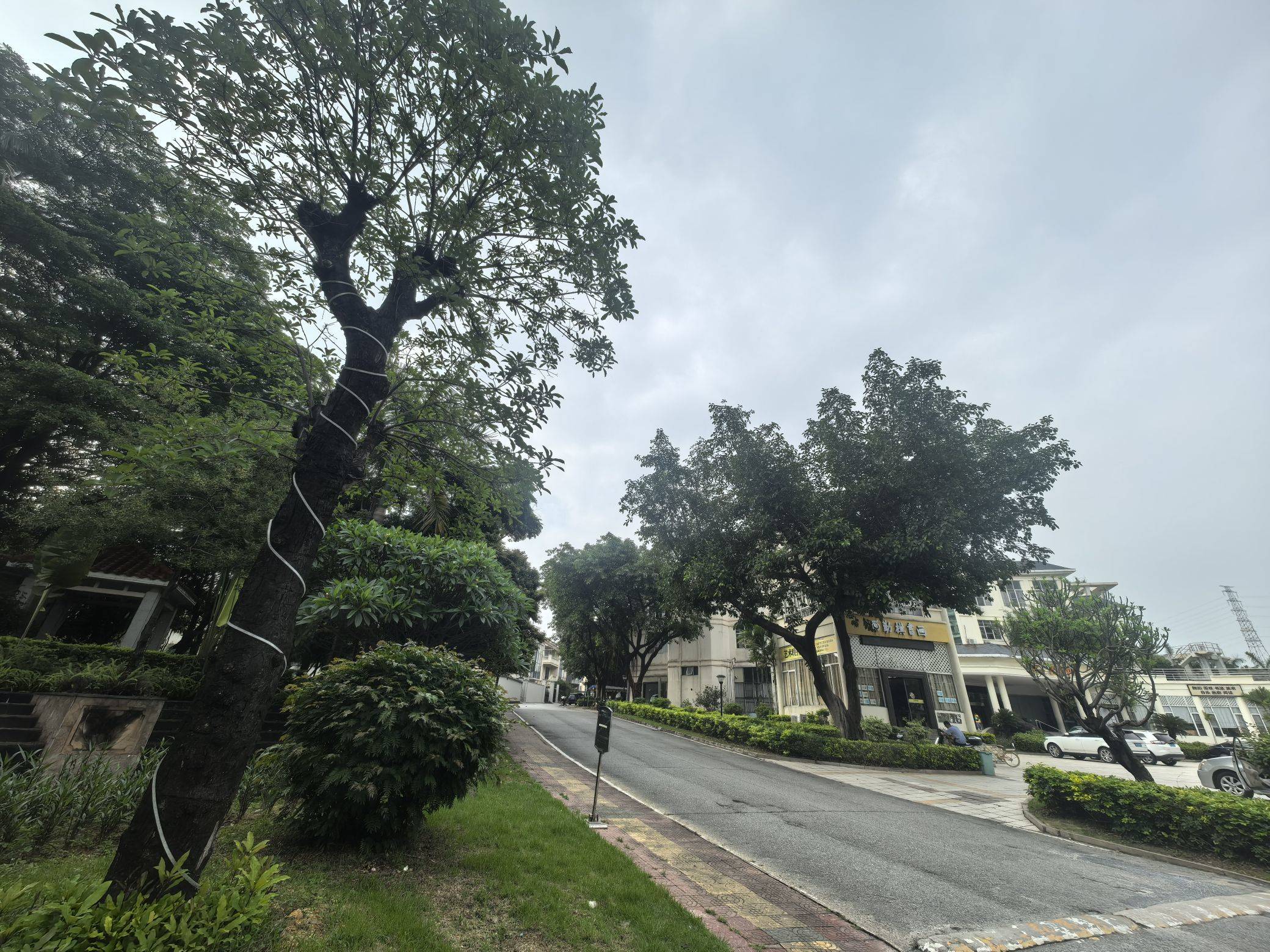 Guangzhou Huadu | 南航碧花园_6