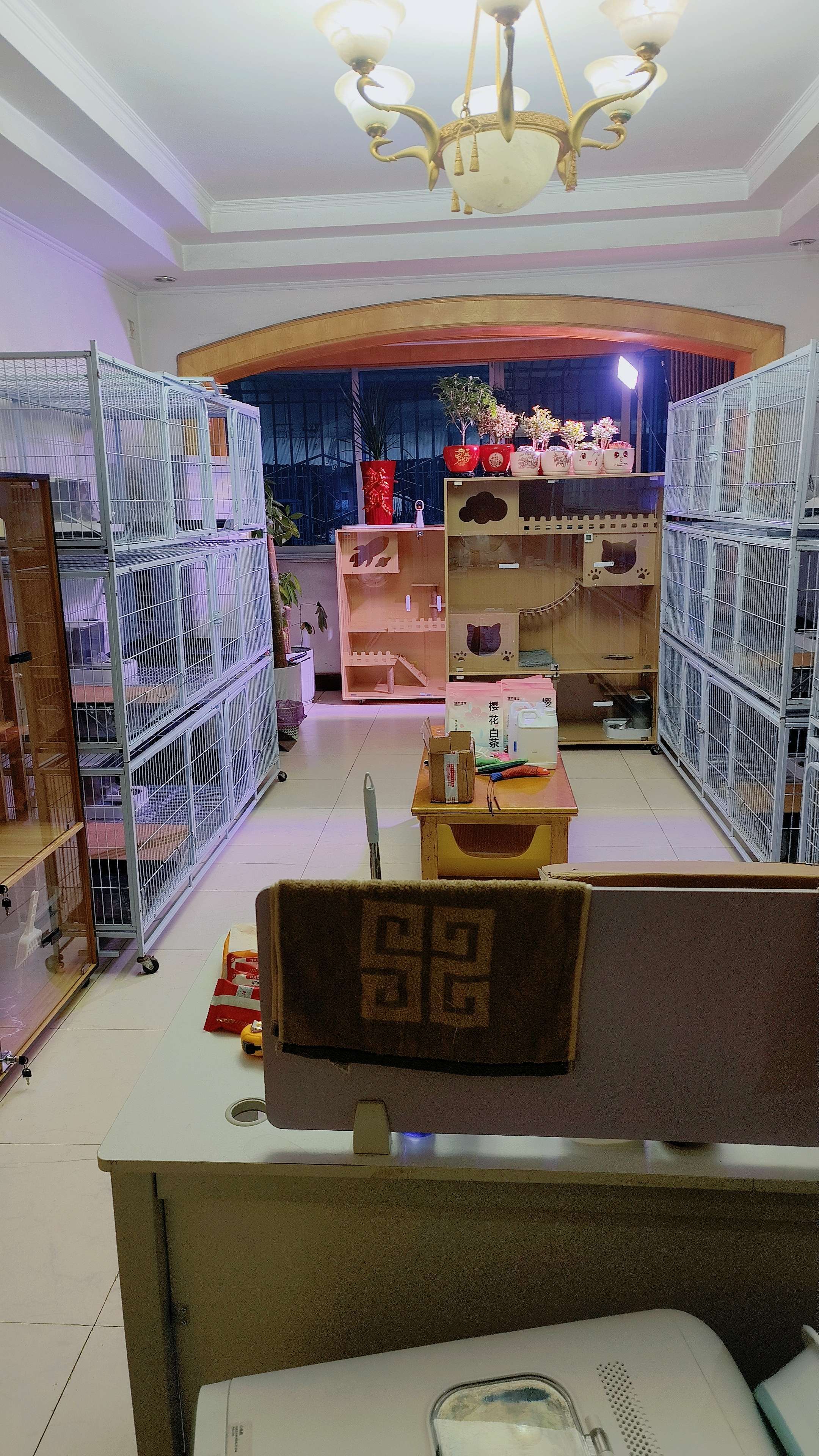 Chengdu Qingyang | 光明巷9号_3