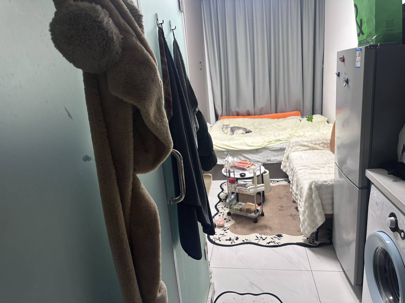 掌管猫猫的神🐱整租房源3