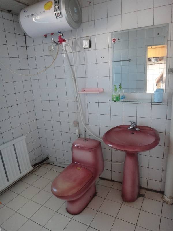 瀋陽 大東 | 东兴小区(东陵西路)_5