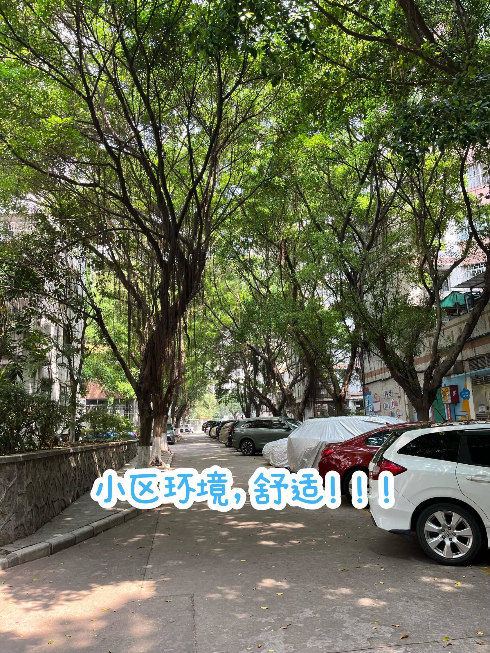 广州 天河 | 广海花园_2