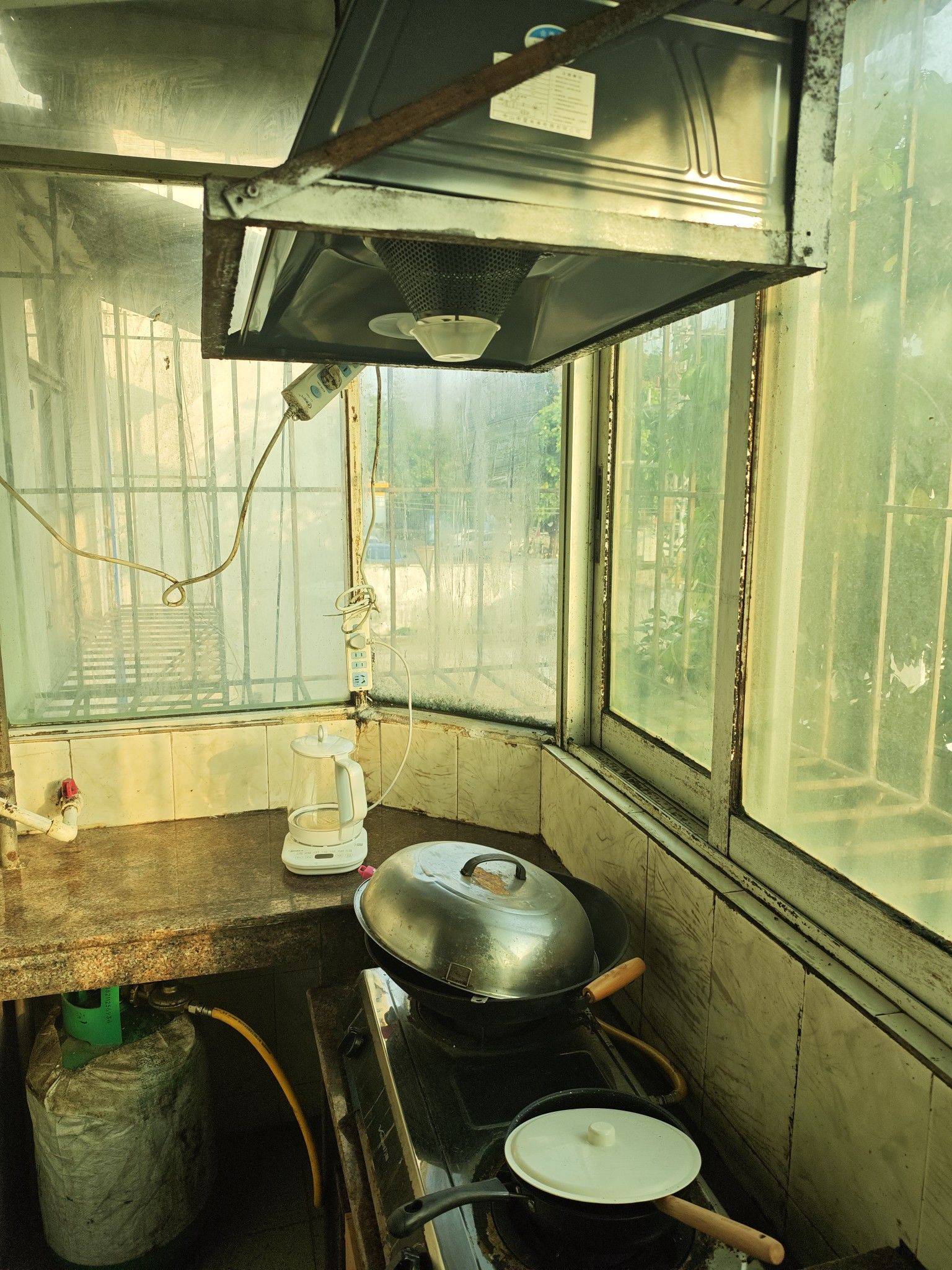 东莞 常平 | 中央公园-1号_4