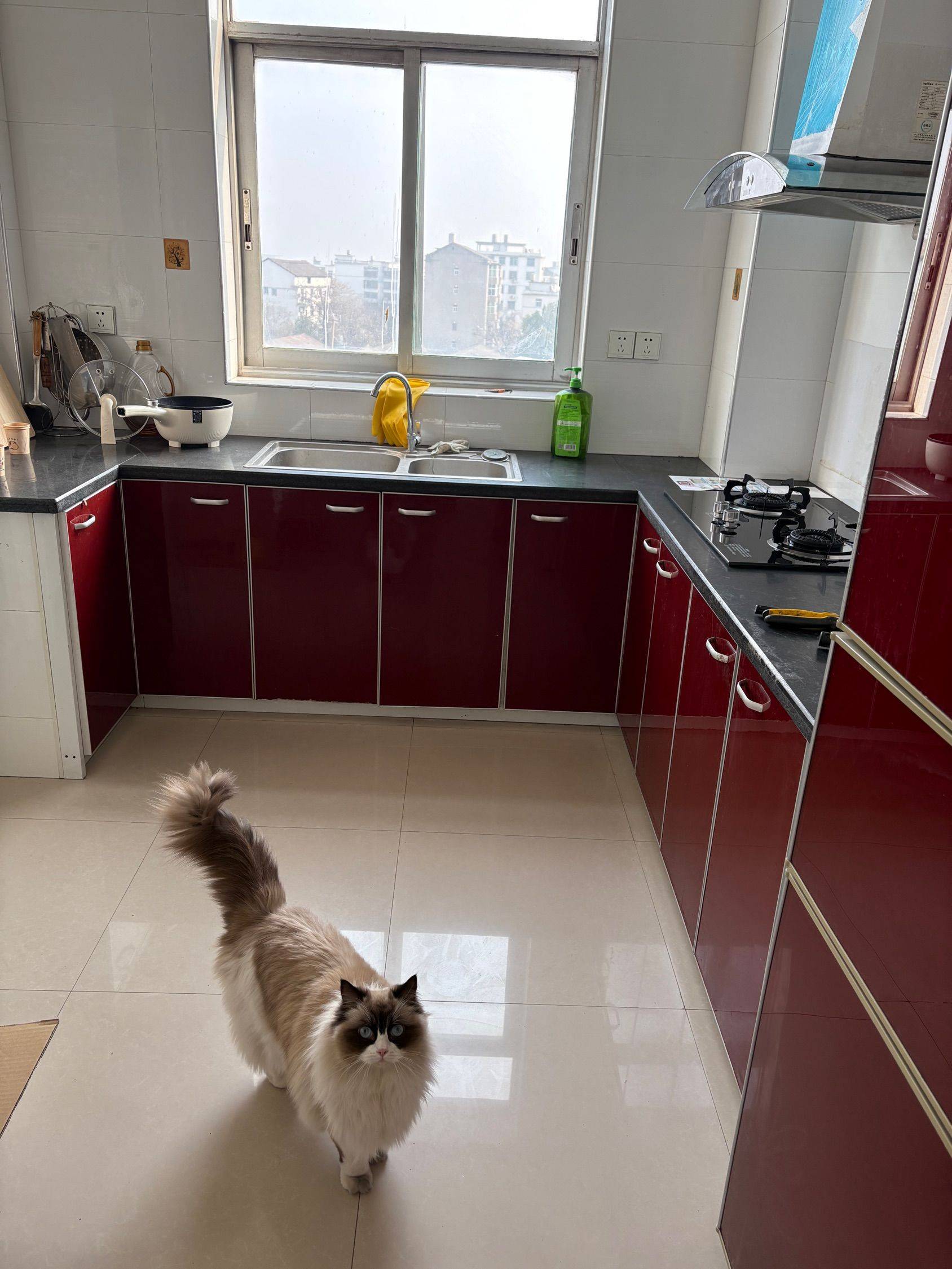 八四八五整租房源1