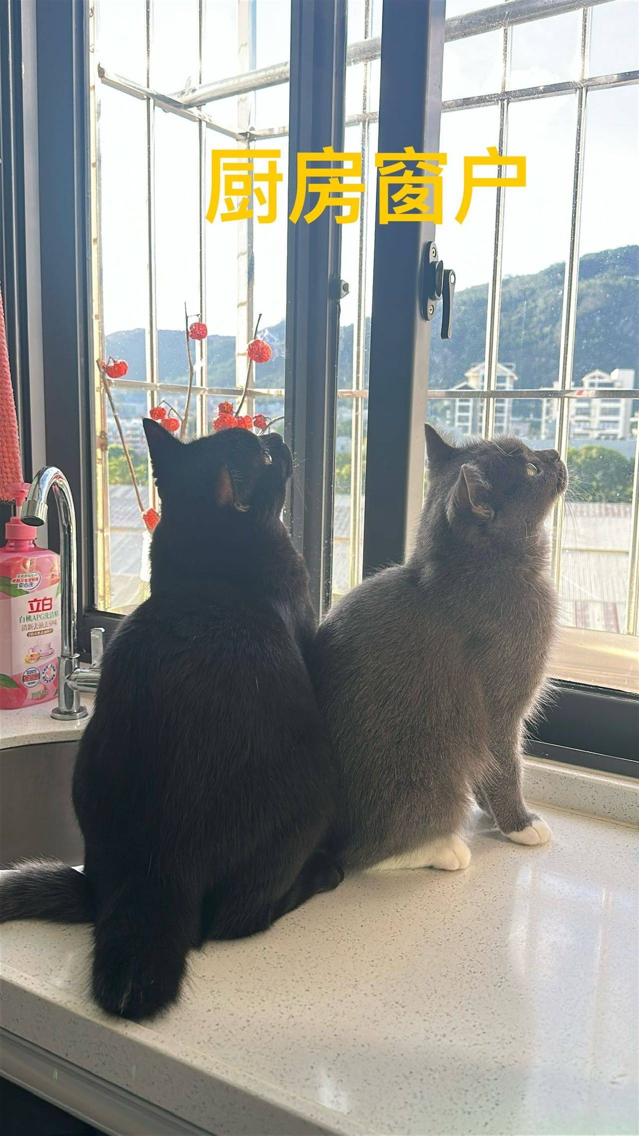 廈門 海滄 | 鑫珊珊假日酒店(海沧翁角路地铁站店)_3