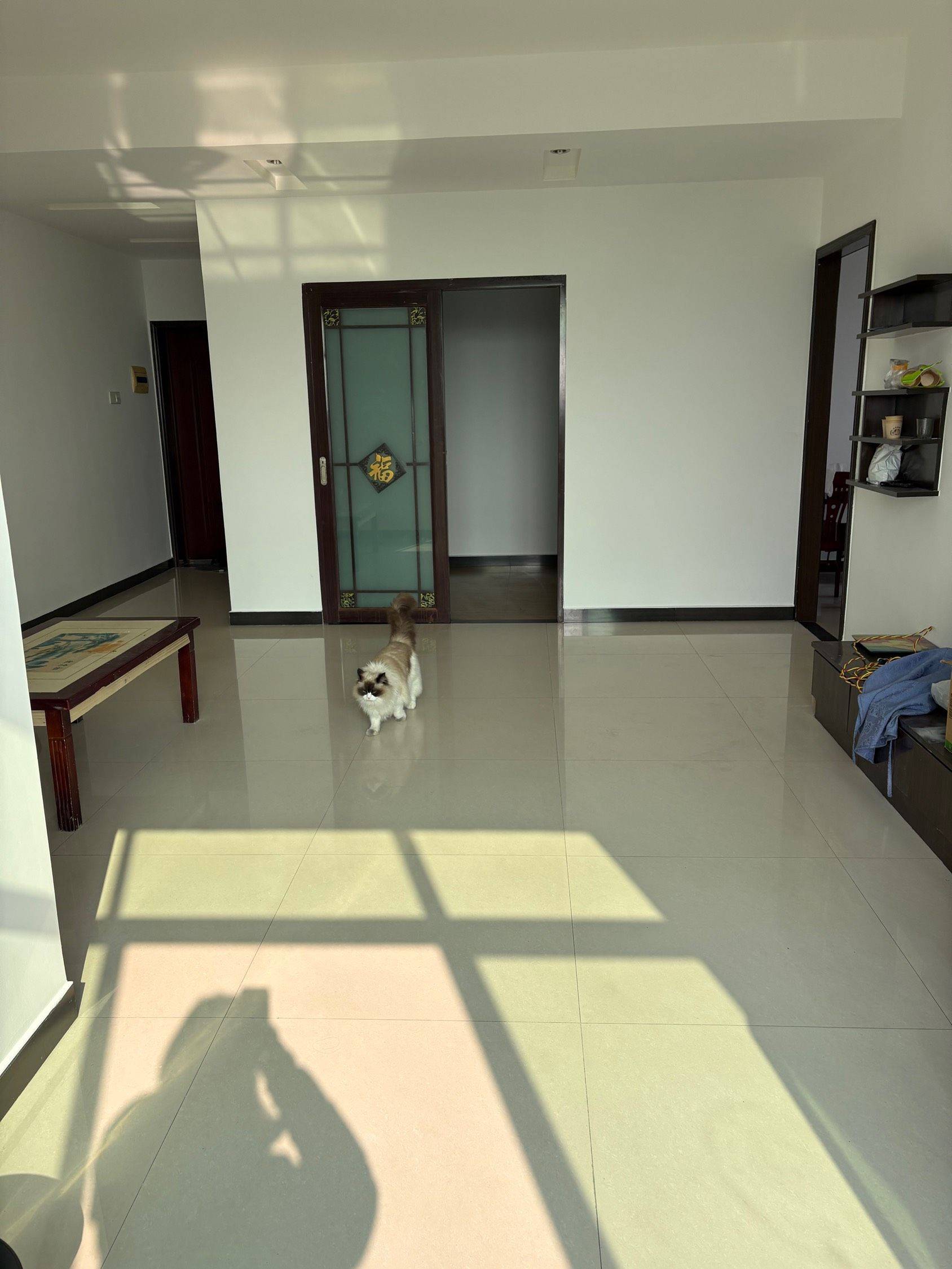 八四八五整租房源3