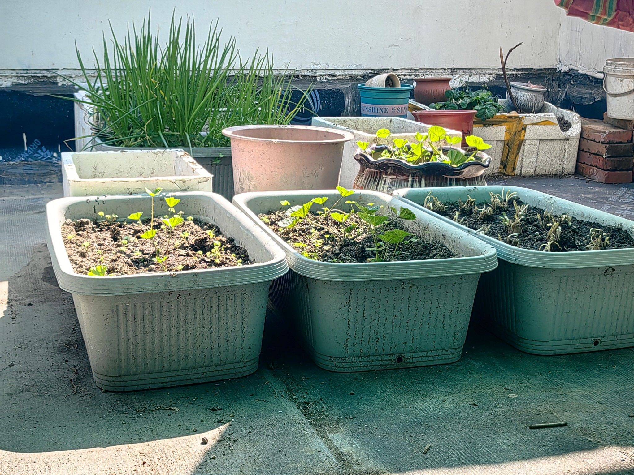 蘇州 姑蘇 | 里河新村-180幢_5