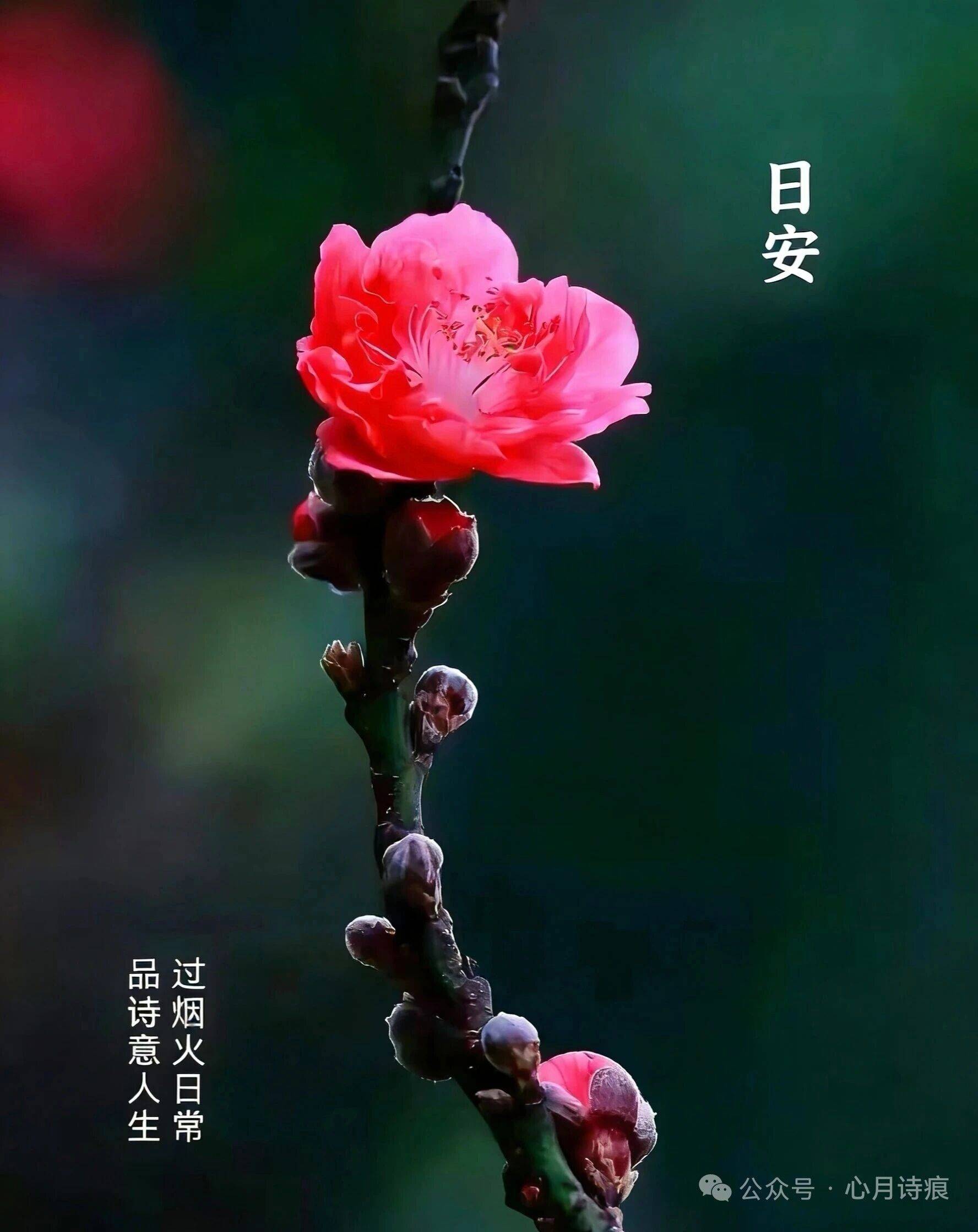 西湖区 府前社区-2栋