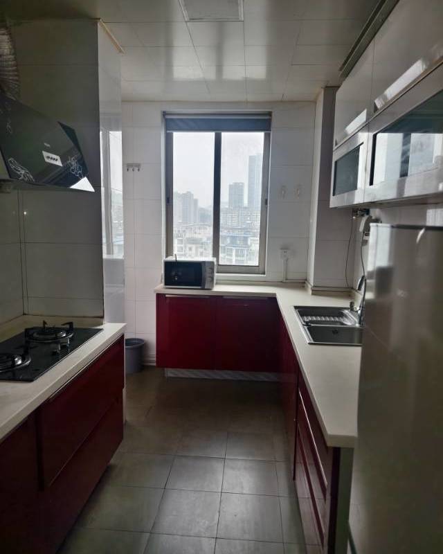 Wuhan Jianghan | 凤凰城_6