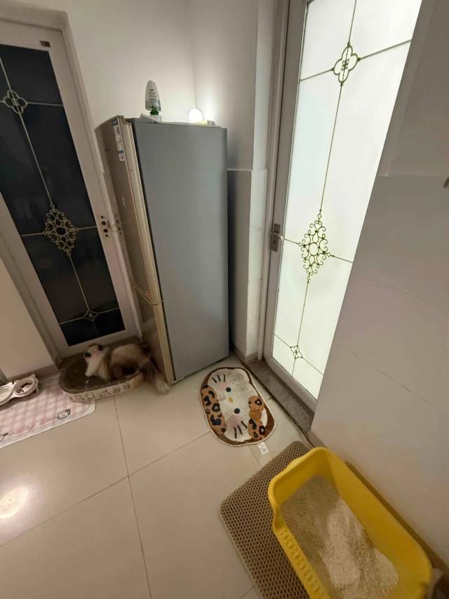 東莞 莞城 | 金升公馆-B栋_5