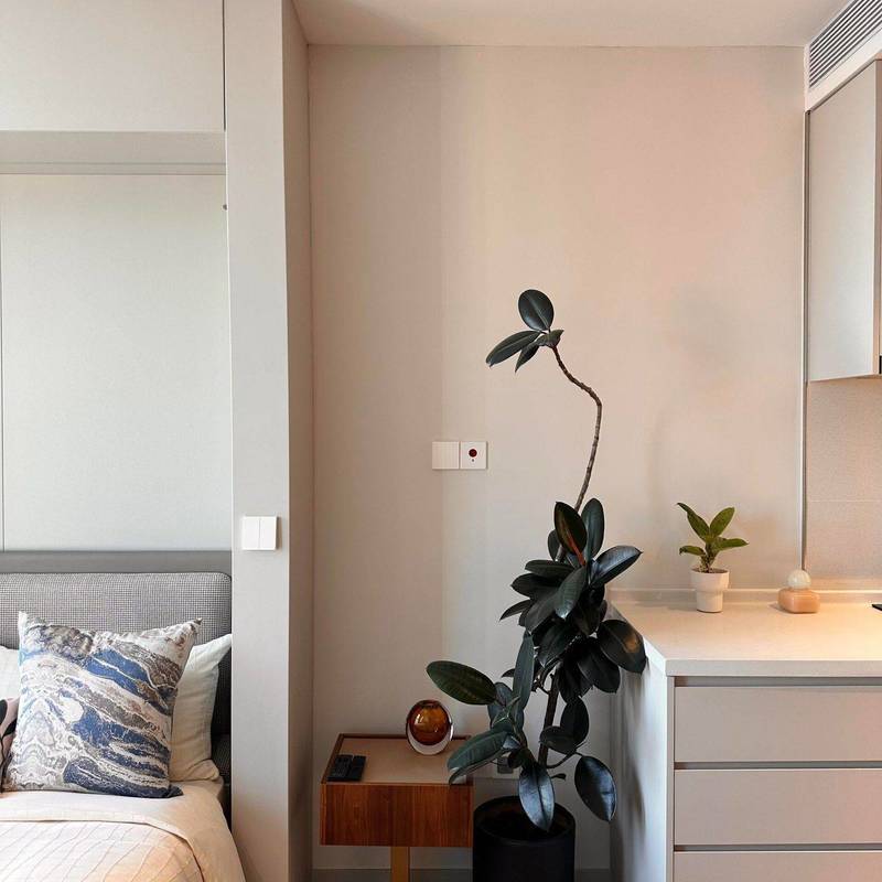 Shanghai Huangpu | 瑞安广场_5