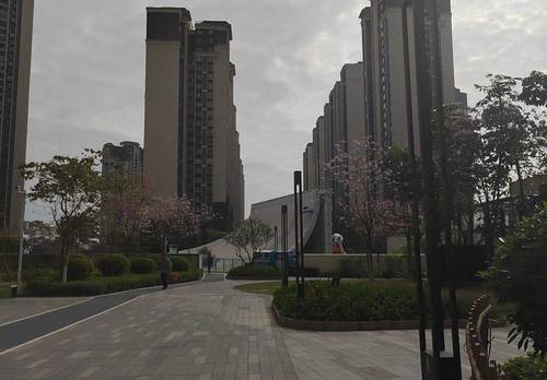 增城 越秀TOD星图-5栋