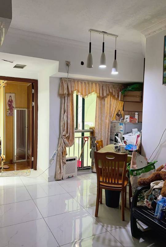 深圳 龙岗 | 怡康家园-兰花居_4