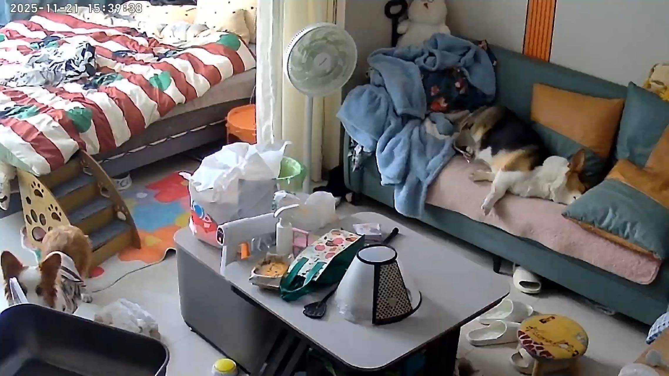 東陽 麻车小区-18幢