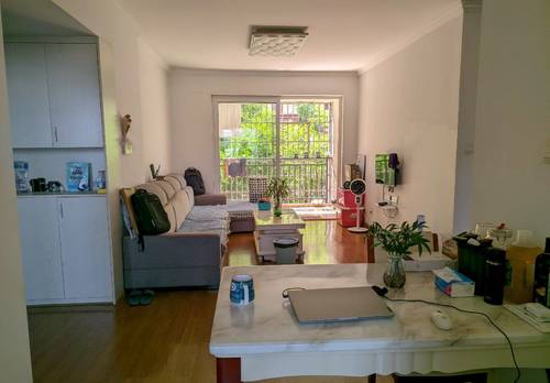 天心 动物园附近佛奥康桥水岸