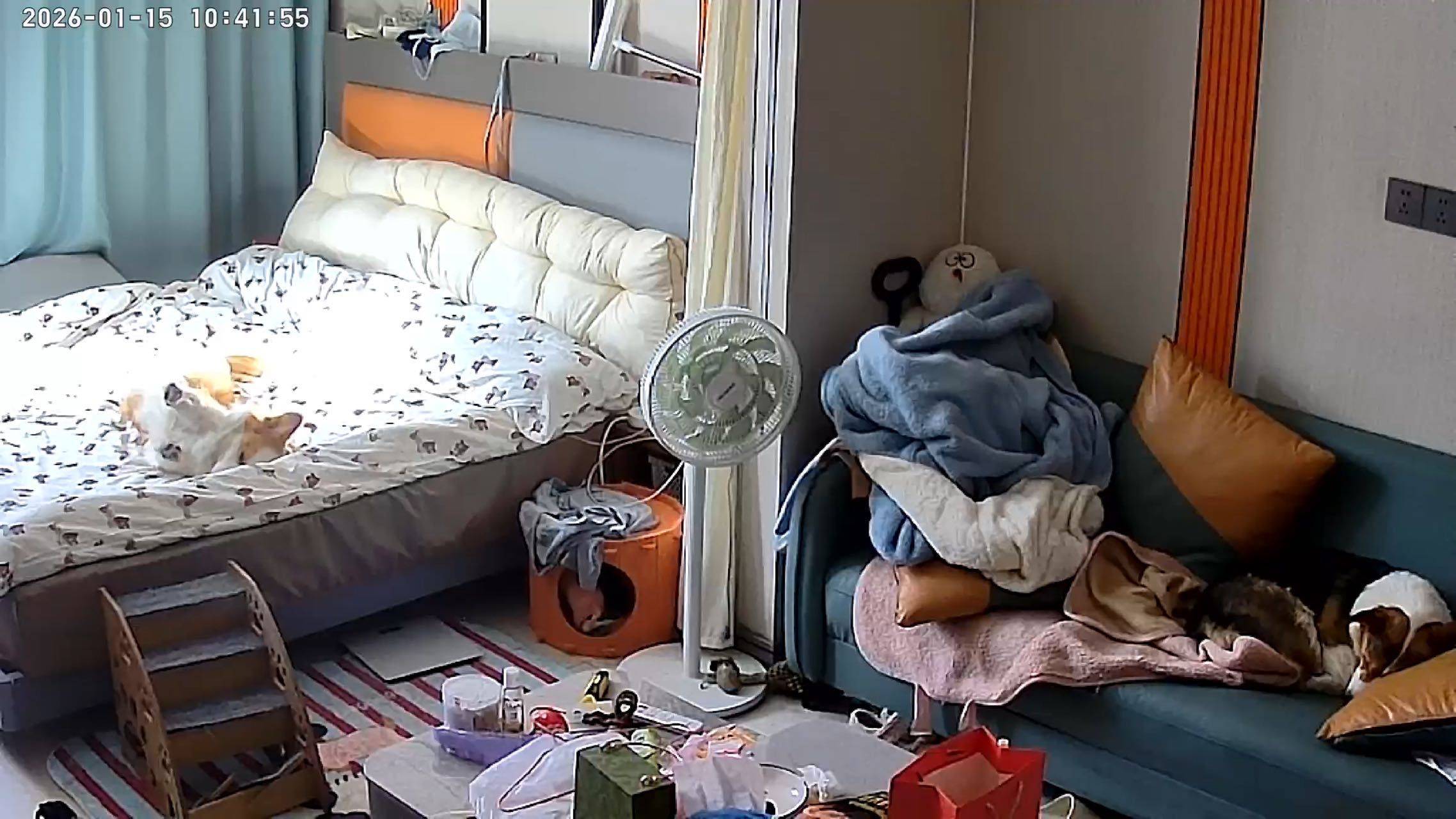 東陽 麻车小区-18幢