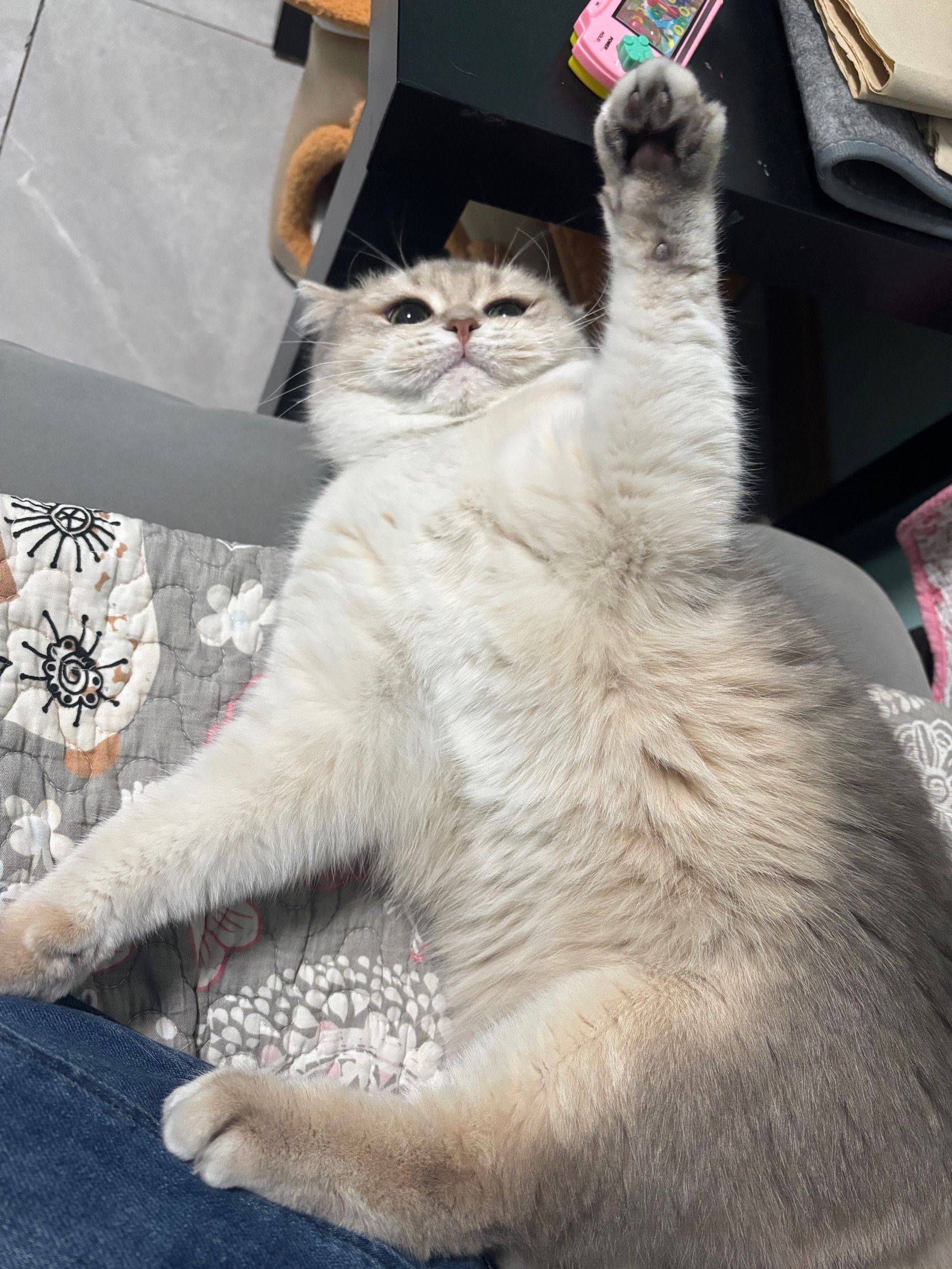 宁波 鄞州 | 水榭花都苑-二期_7