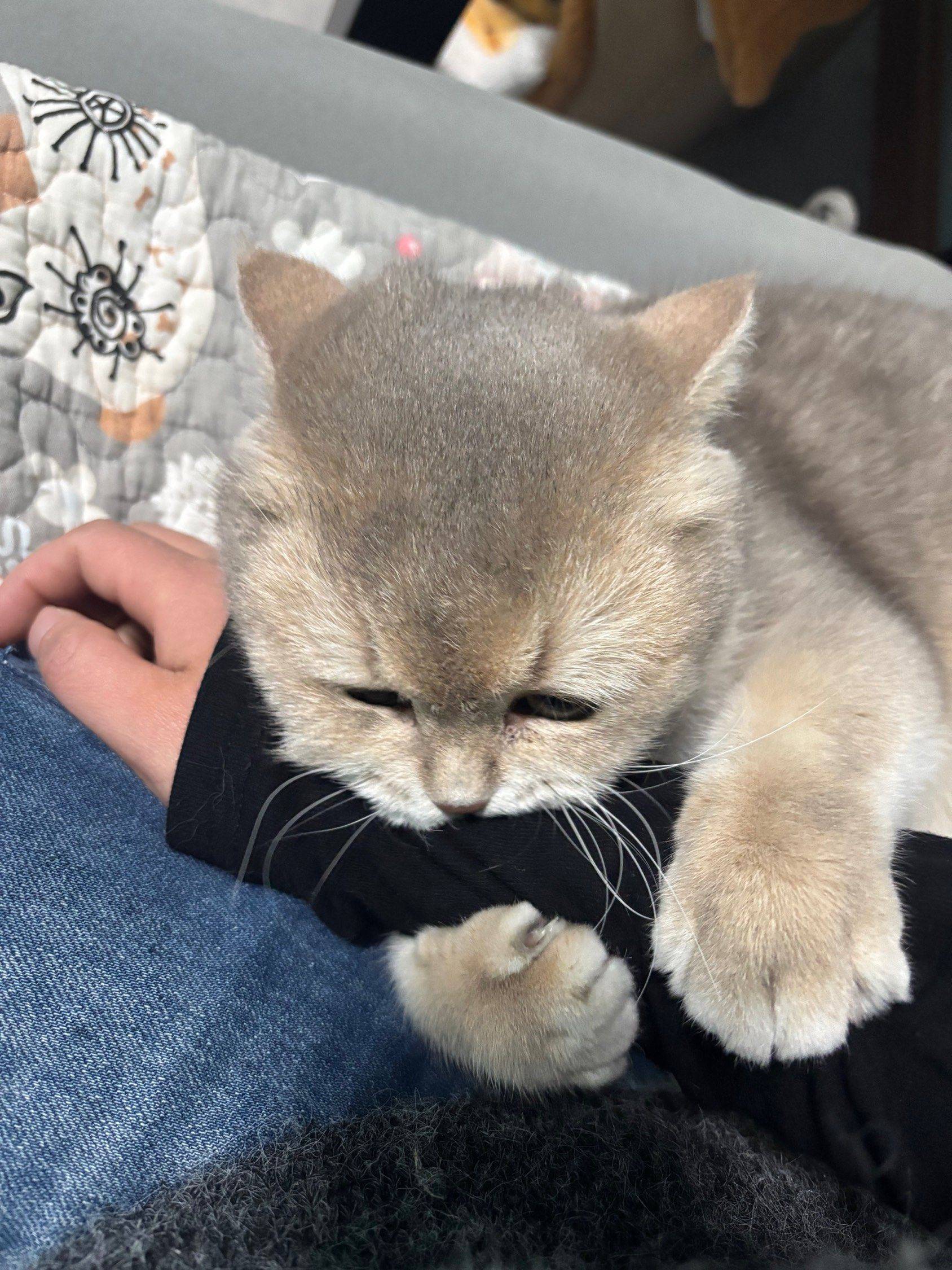 宁波 鄞州 | 水榭花都苑-二期_5