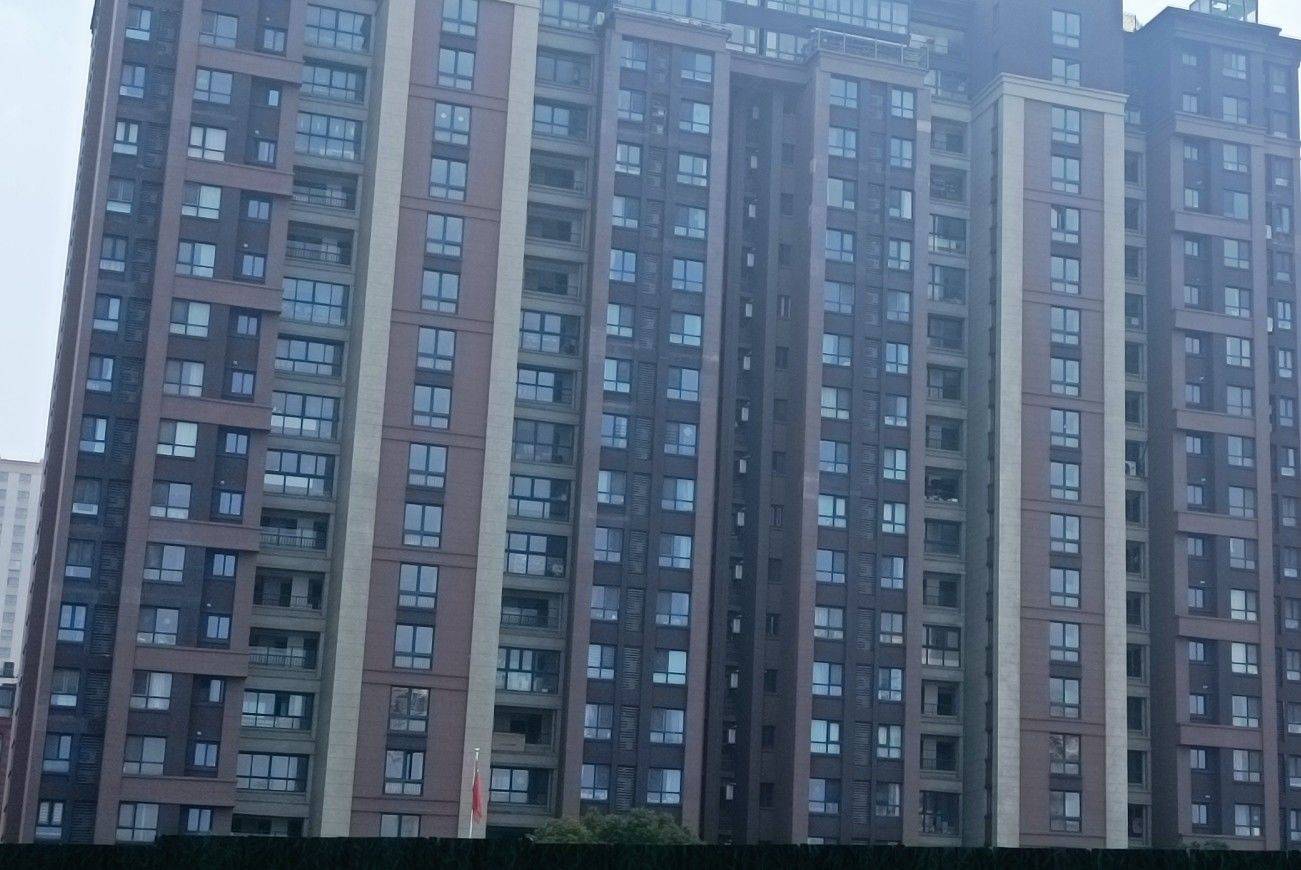 上海 寶山 | 泰禾红御_7