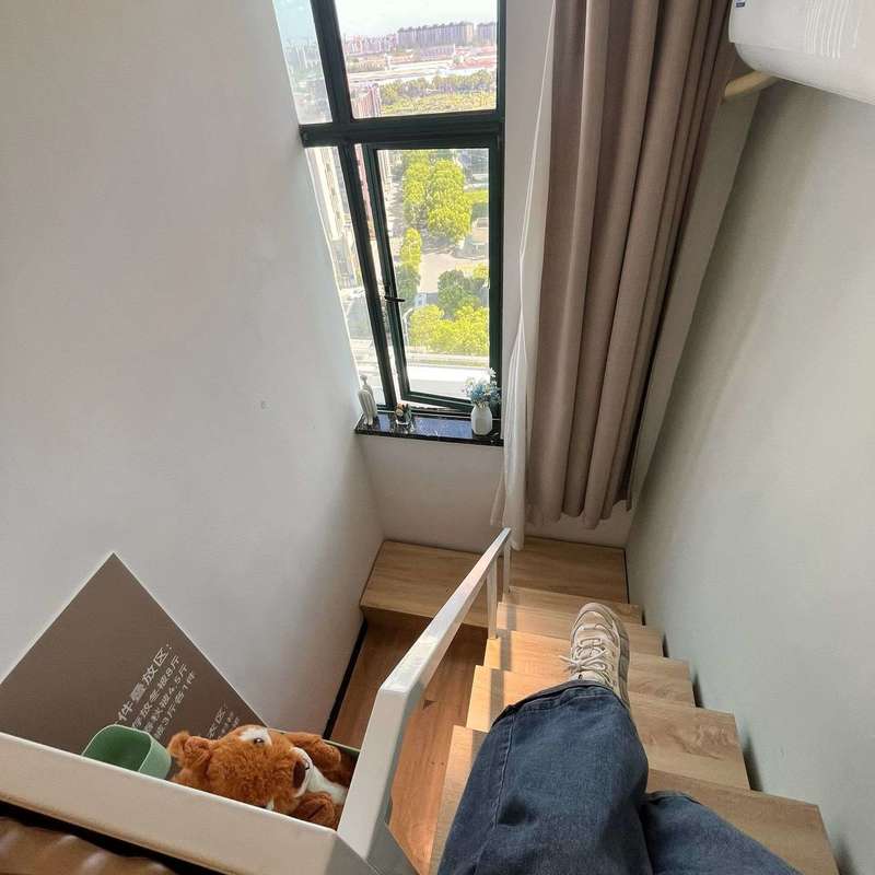 上海 闵行 | 临港浦江科技广场_5