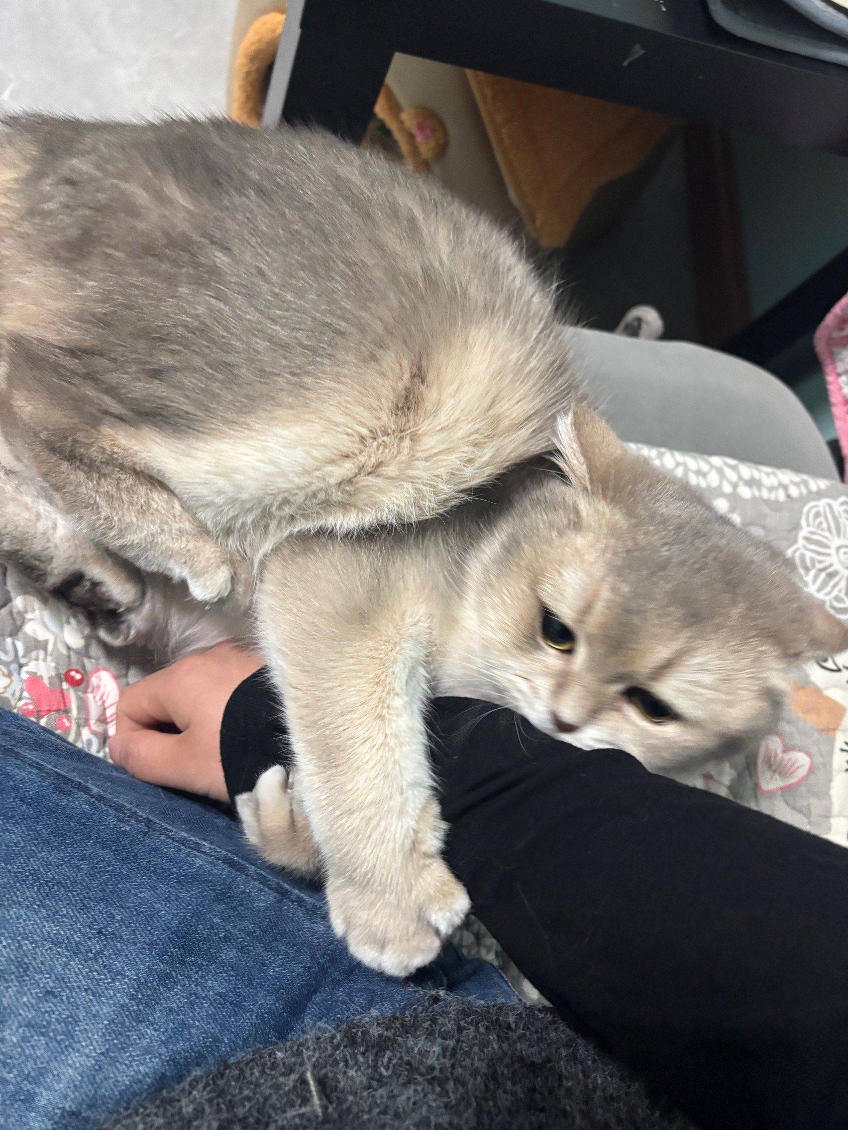 宁波 鄞州 | 水榭花都苑-二期_6