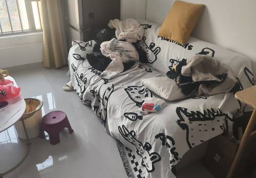 青雲譜區 绿都·新力青云府