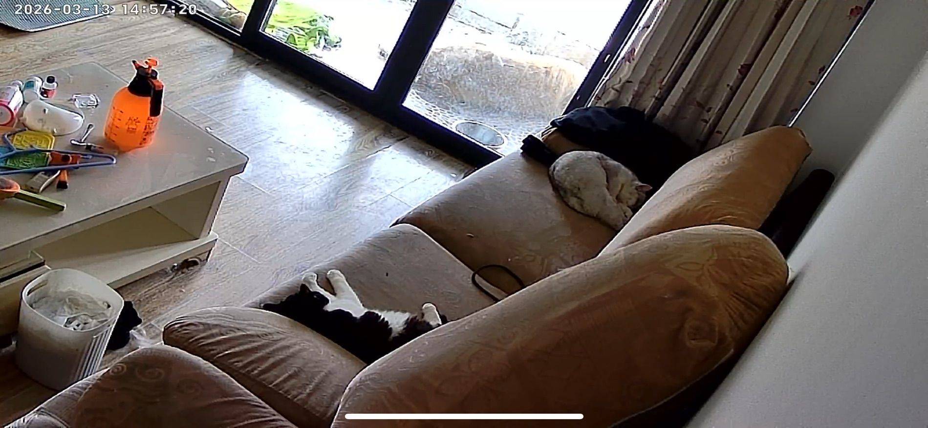 成都 成华 | 招商雍华府-2期_3