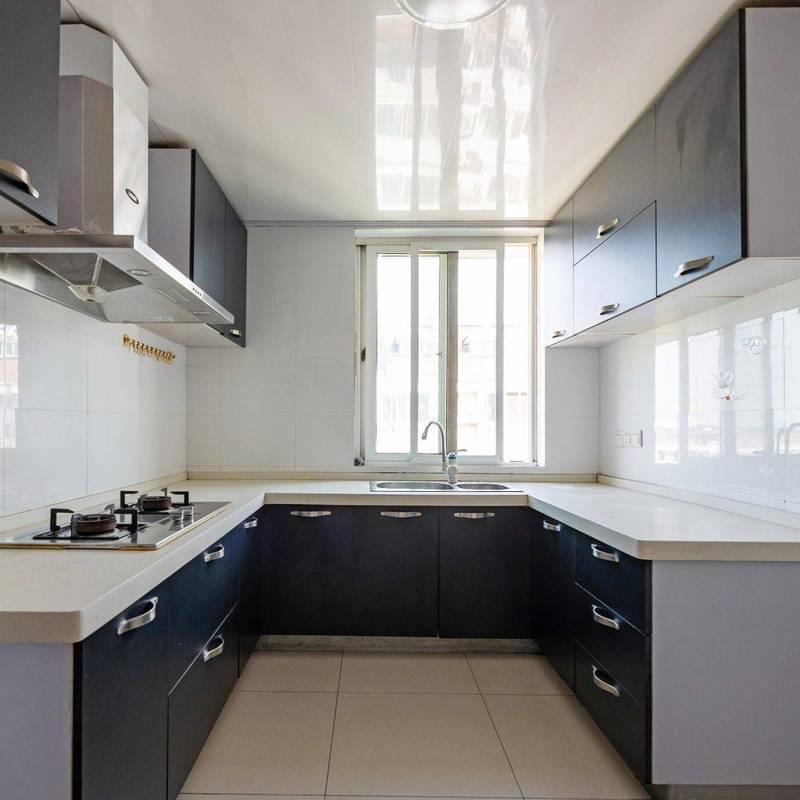 苏州 工业园 | 新加花园_6