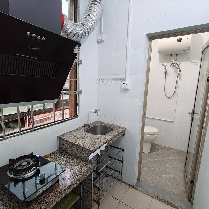 Shenzhen Pingshan | 龙昌二巷7号楼_4