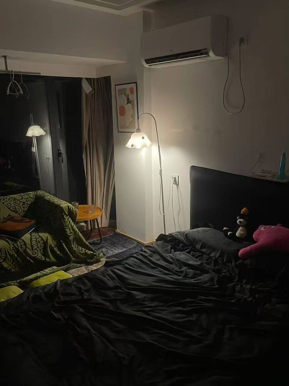 没回信息就是在睡觉整租房源1