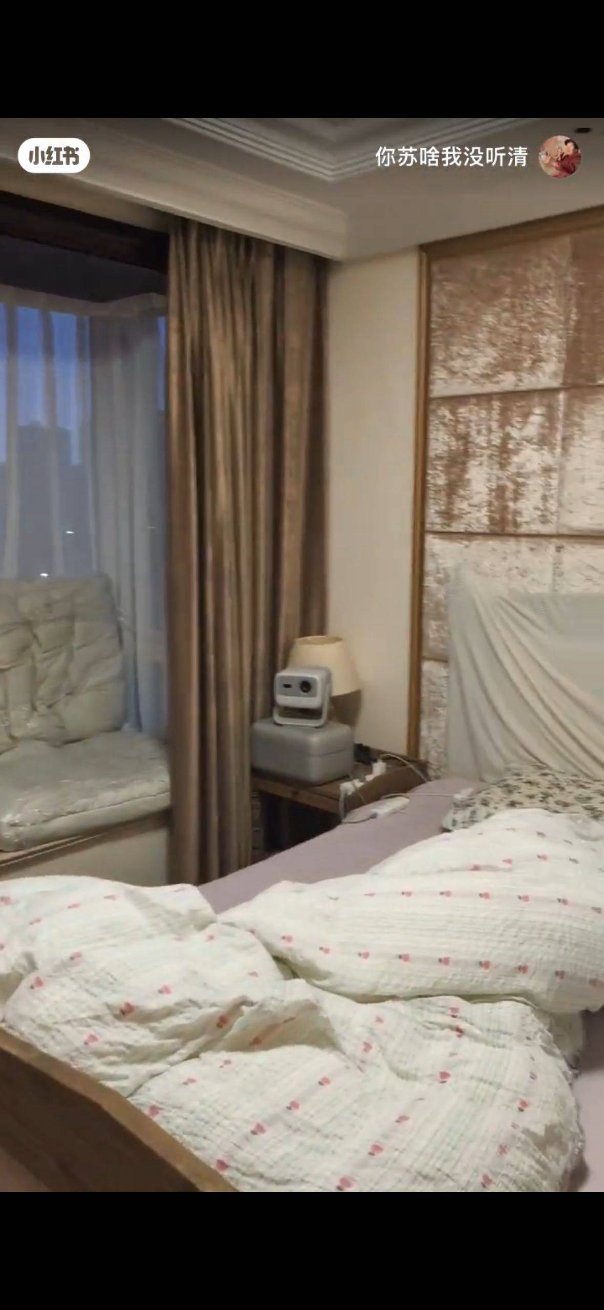 苏小花整租房源3