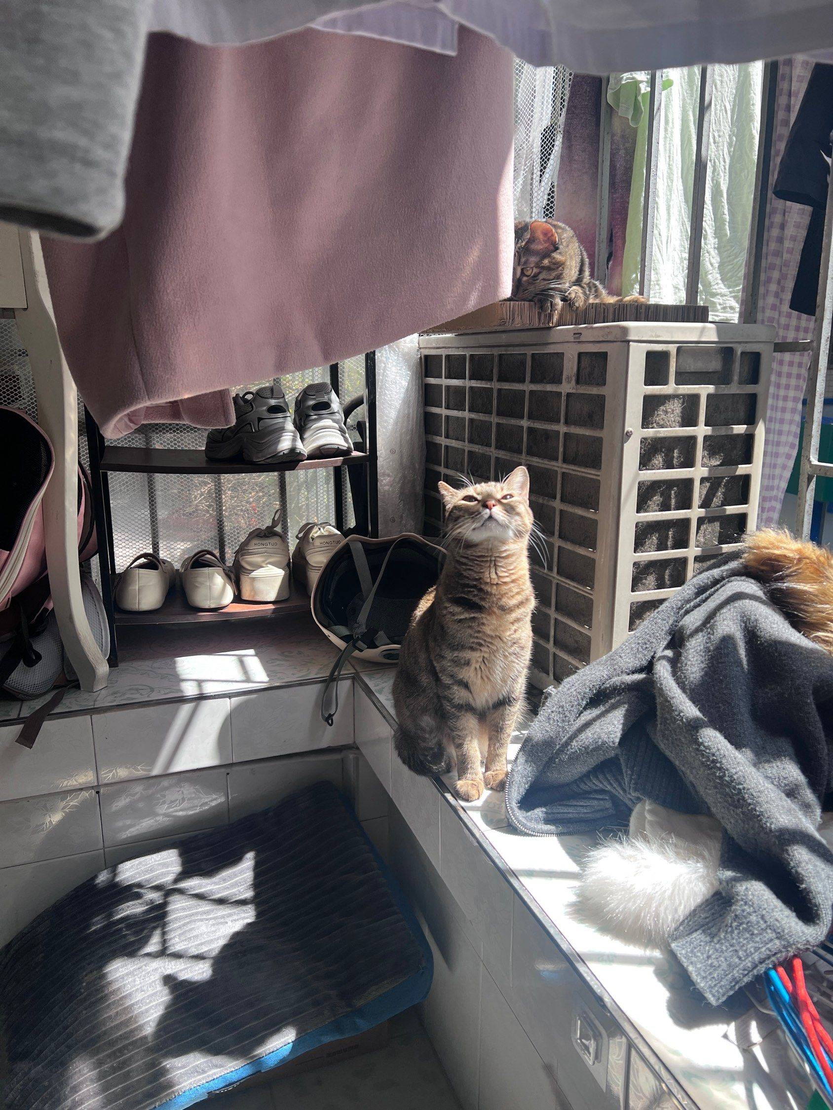 福州 台江区 | 永新新村_4