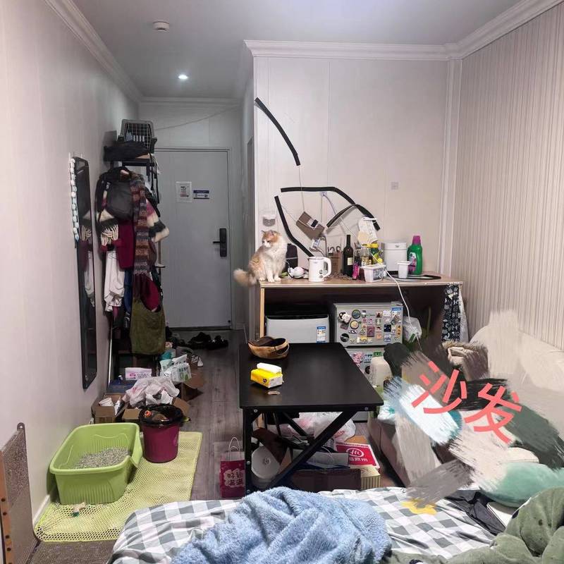 上海 宝山 | 考拉公寓_4