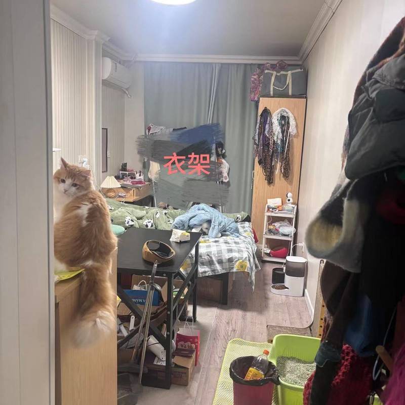 上海 宝山 | 考拉公寓_5